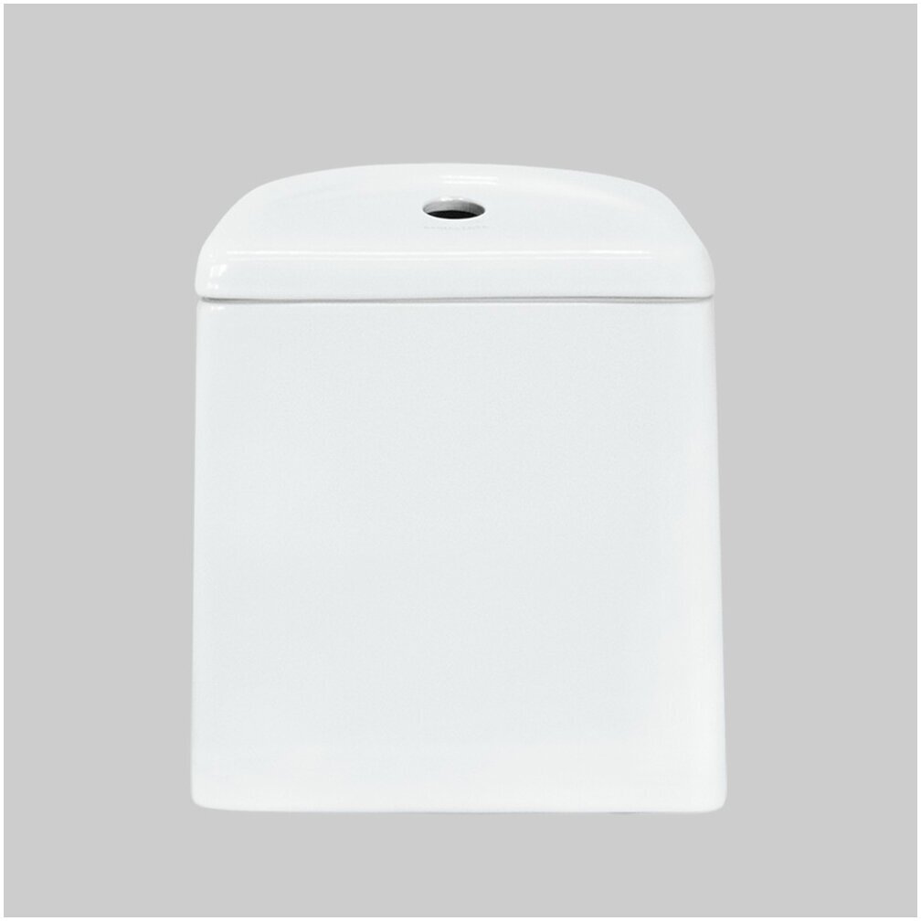 Унитаз-компакт Sanita Luxe BSTSLCC04020522 белый купить,117500