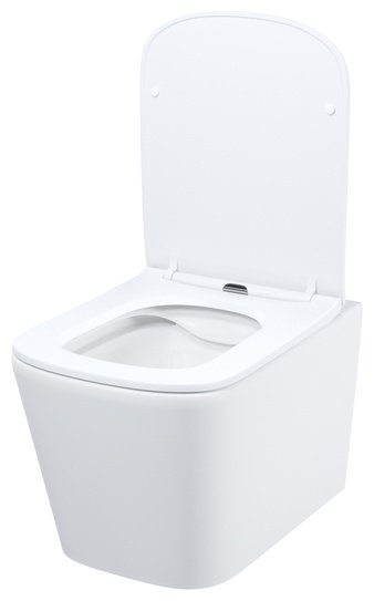Унитаз Iddis BILRDSEi25 с инсталляцией белый