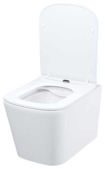 Унитаз Iddis BILRDSEi25 с инсталляцией белый купить,251800