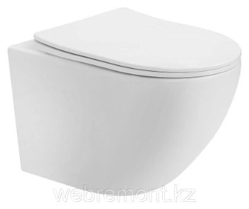 Унитаз Saniteco Tornado UF M213 белый
