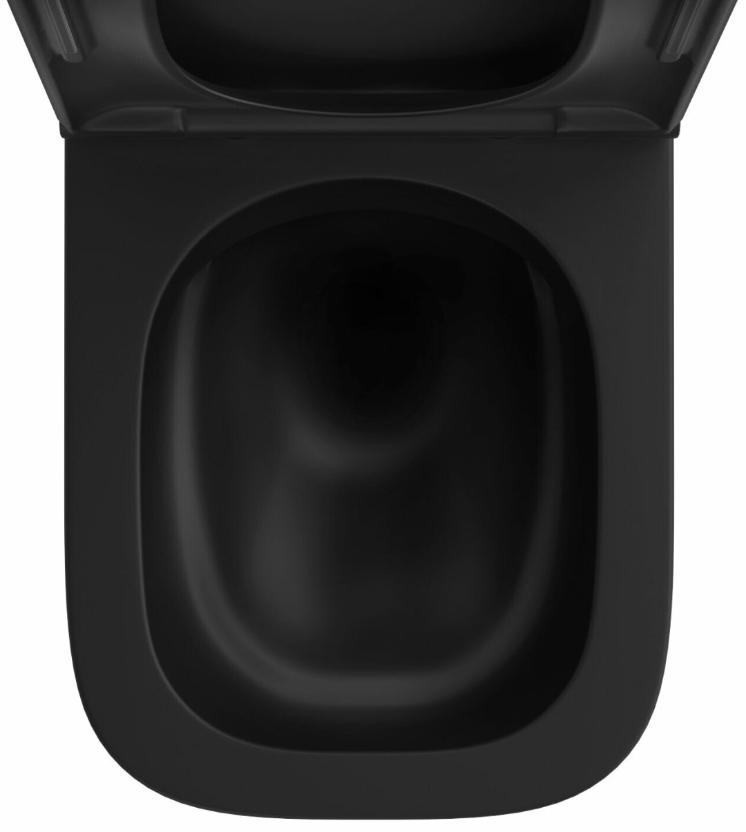 Унитаз Wellsee 182604001 Pure BY черный