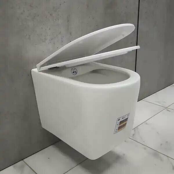 Унитаз WeltWasser AN4973 белый купить,function inputValueFn(){if((0,signal2.mK)(node),node.value===REQUIRED_UNSET_VALUE)throw new root_effect_scheduler.buA(-950,null);return node.value}