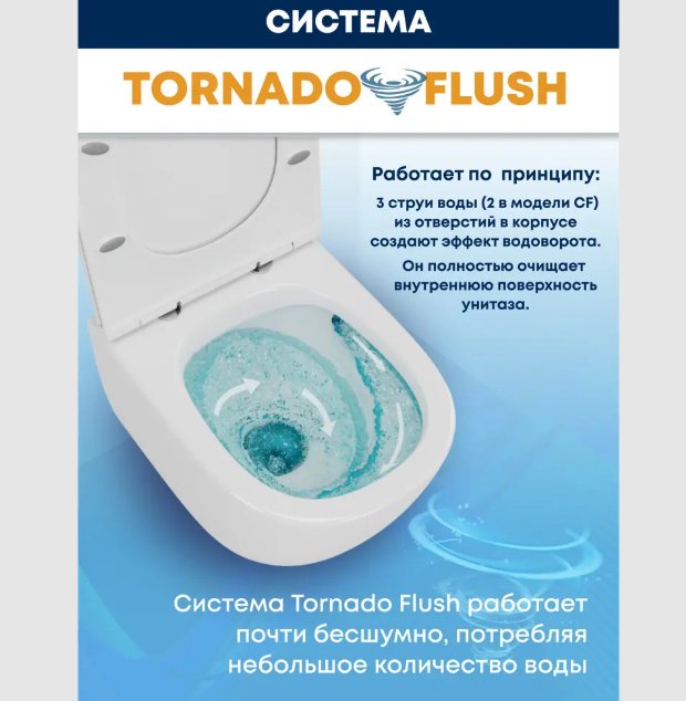 Унитаз WeltWasser AS49729 с инсталляцией черный