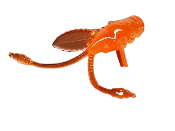 Мягкая приманка Libra Lures Pro Nymph 18мм Сыр 011 Hot Orange 15шт купить,NaN