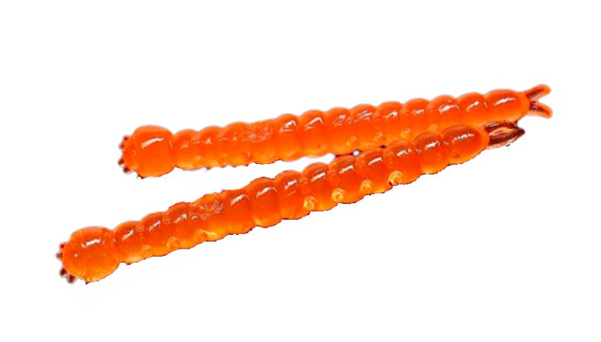 Мягкая приманка Libra Lures Slight Worm 38мм Сыр 011 Hot Orange 15шт купить,NaN