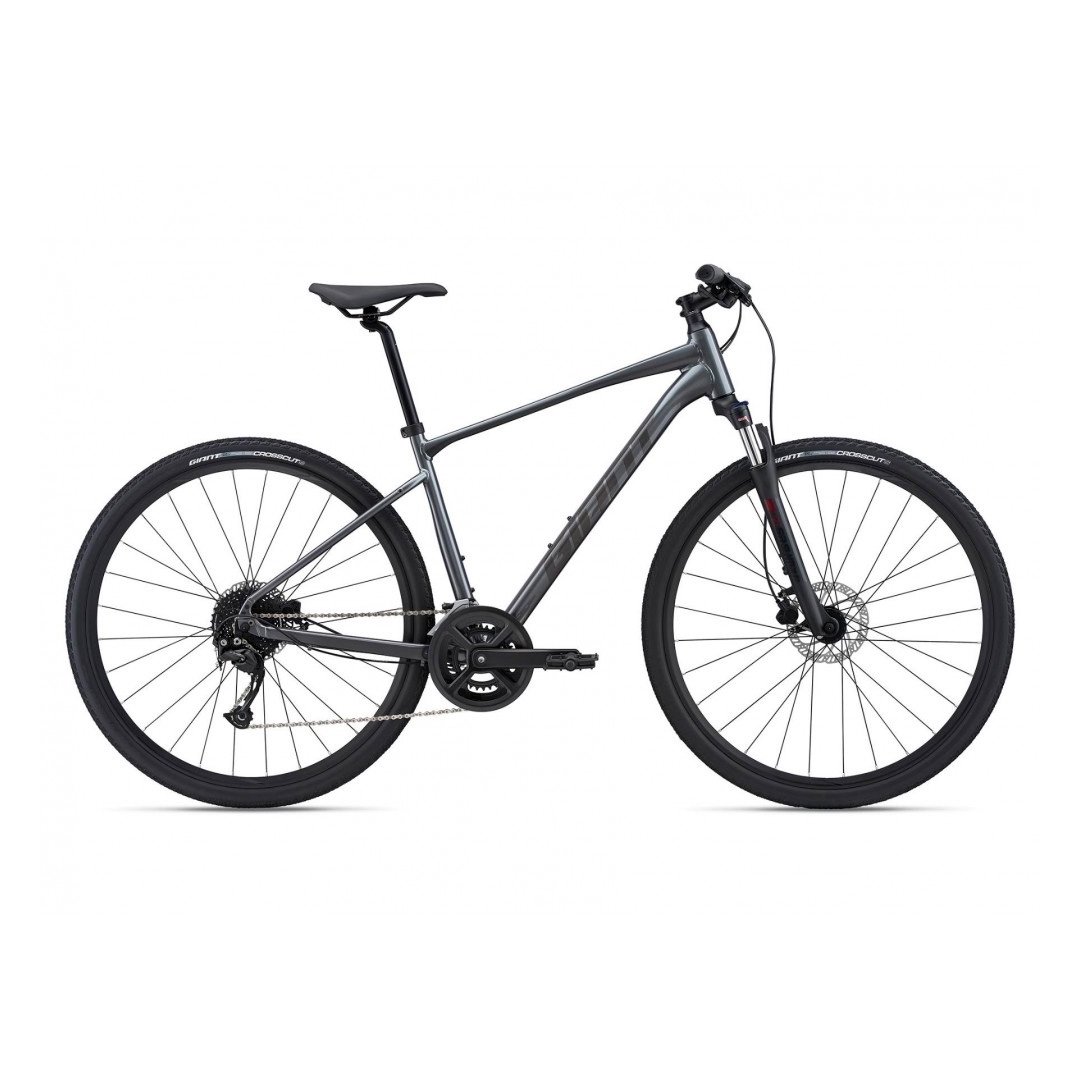 Велосипед Giant Roam 2 Disc 2021 XL 700 18 charcoal купить,NaN