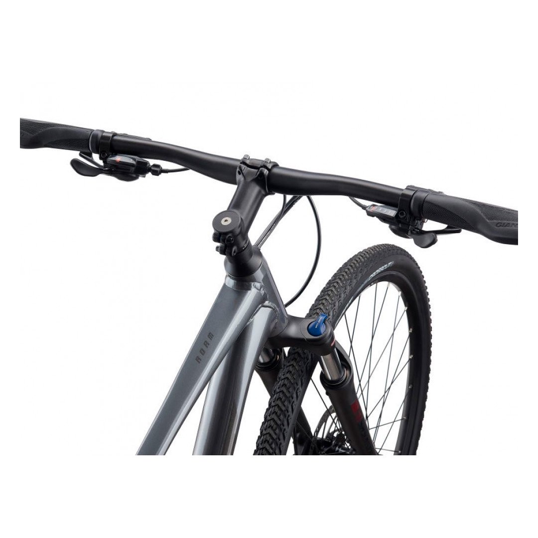 Велосипед Giant Roam 2 Disc 2021 XL 700 18 charcoal купить,NaN