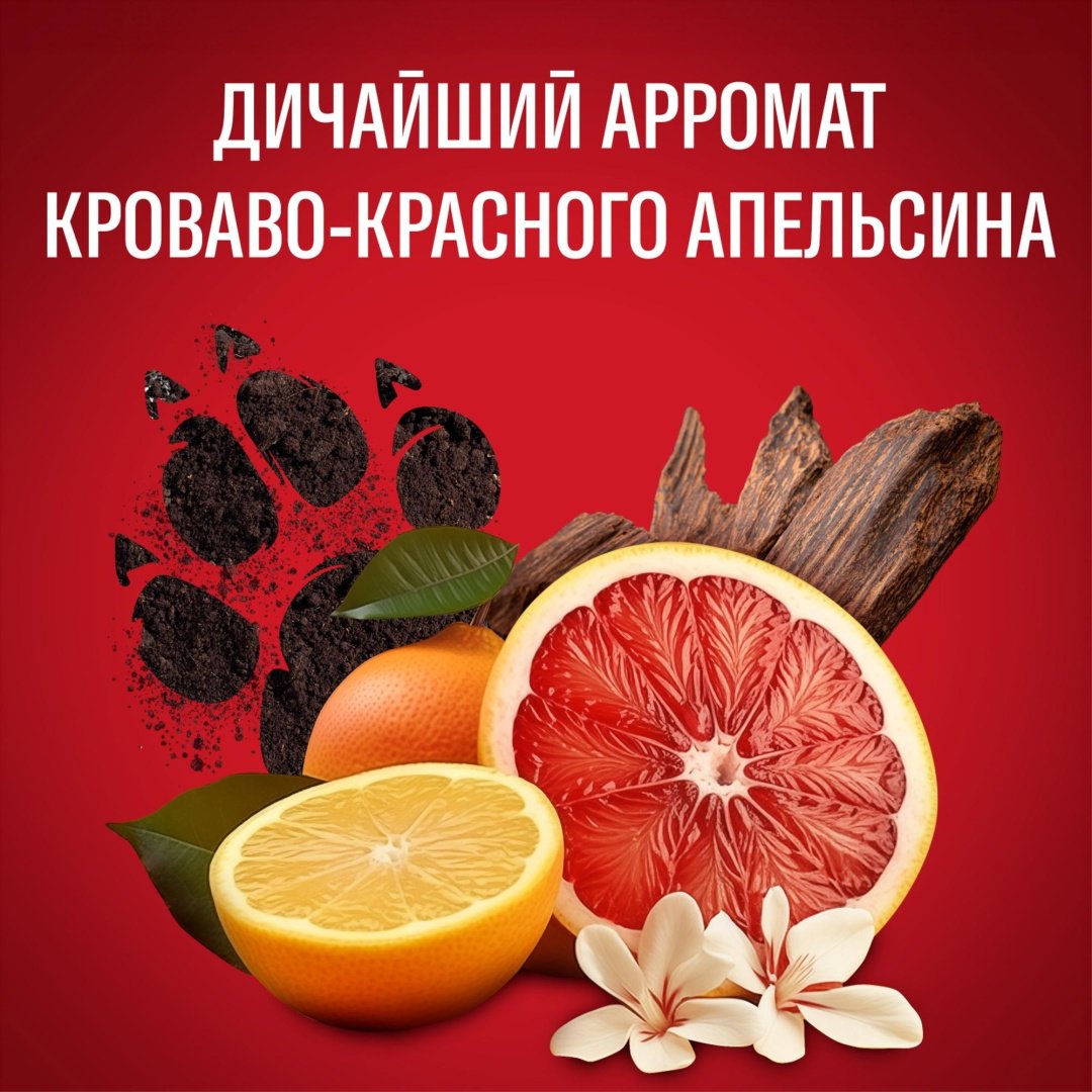 Old Spice Tigerclaw дезодорант для мужчин 150 мл - ForteMarket Old Spice Tigerclaw дезодорант для мужчин 150 мл купить,NaN