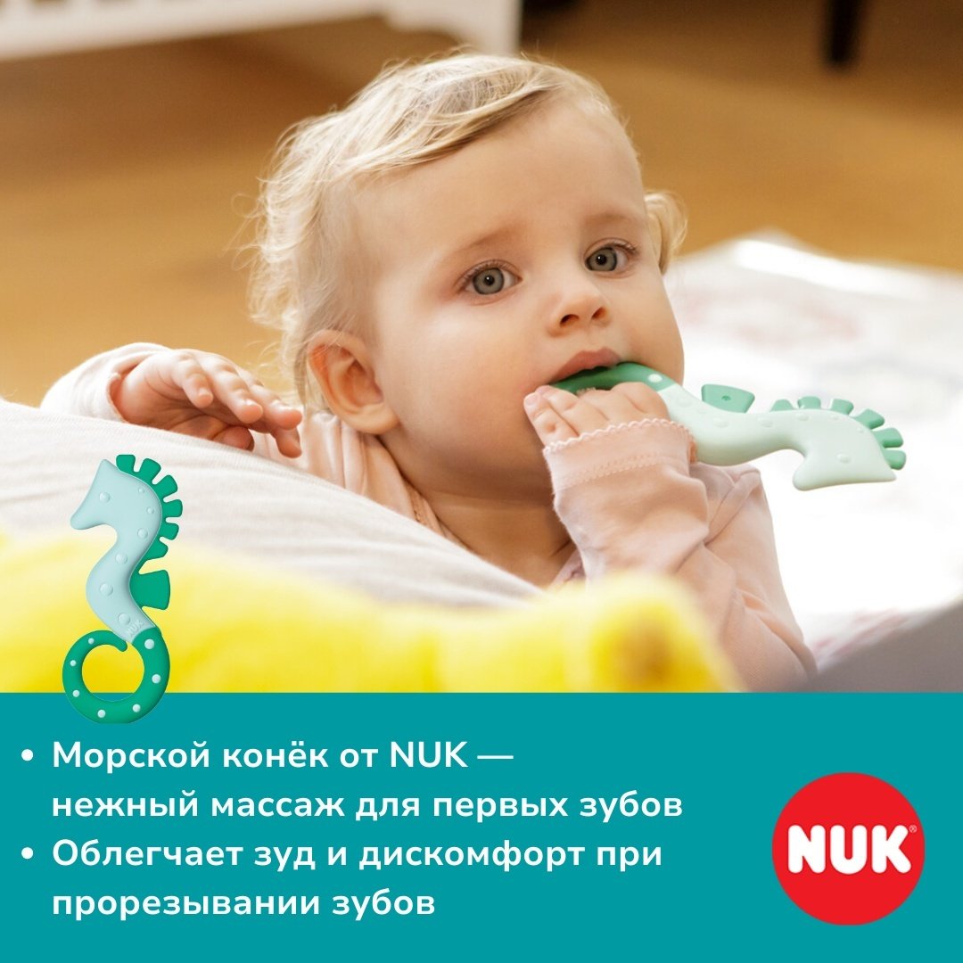 Прорезыватель NUK 10256454 Морской Конек, 3m+, 1 шт, зеленый купить,NaN