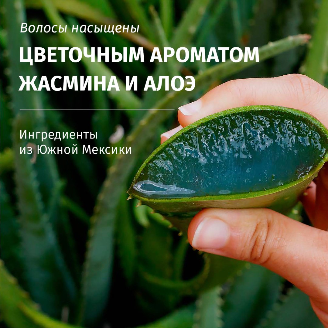 Herbal Essences Увлажнение и Укрепление шампунь 350 мл - ForteMarket Herbal Essences Увлажнение и Укрепление шампунь 350 мл купить,NaN