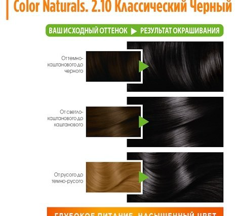 Garnier Color Naturals 2.10 иссиня-черный крем-краска 110 мл - ForteMarket Garnier Color Naturals 2.10 иссиня-черный крем-краска 110 мл купить,NaN