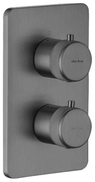 Смеситель для ванны ALLEN BRAU 5.31213-MG PRIORITY V.2, латунь, цвет черный купить,390500
