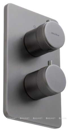 Смеситель для ванны ALLEN BRAU 5.31213-MG PRIORITY V.2, латунь, цвет черный купить,390500
