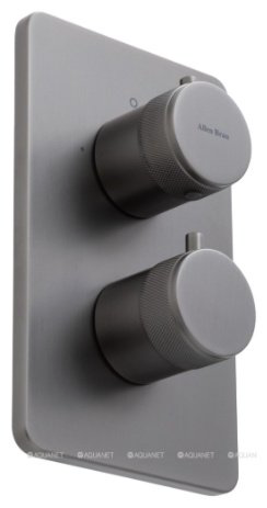 Смеситель для ванны ALLEN BRAU 5.31213-MG PRIORITY V.2, латунь, цвет черный купить,390500