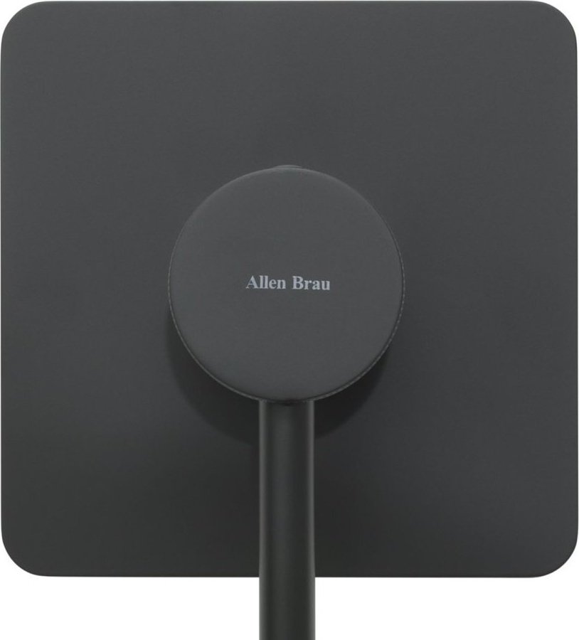 Смеситель для душа ALLEN BRAU PRIORITY X1 5.31012-31, однозахватный купить,165900