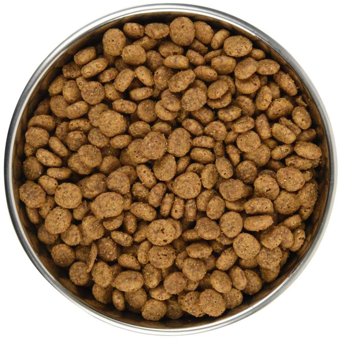 Корм ATTILA Adult для взрослых курица 1 кг купить,2600