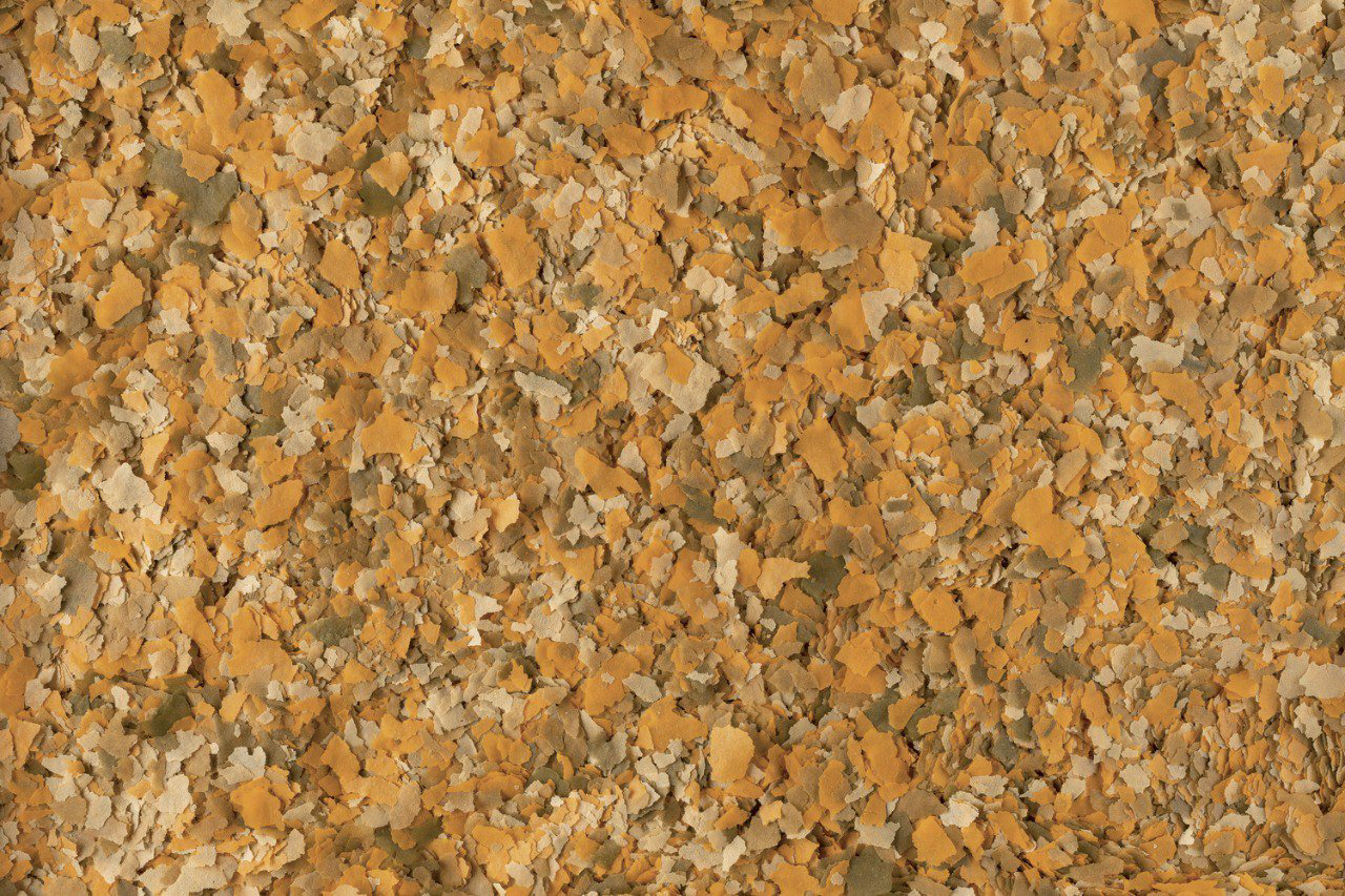 Корм Tetra хлопья TetraMin 100 г купить,3600