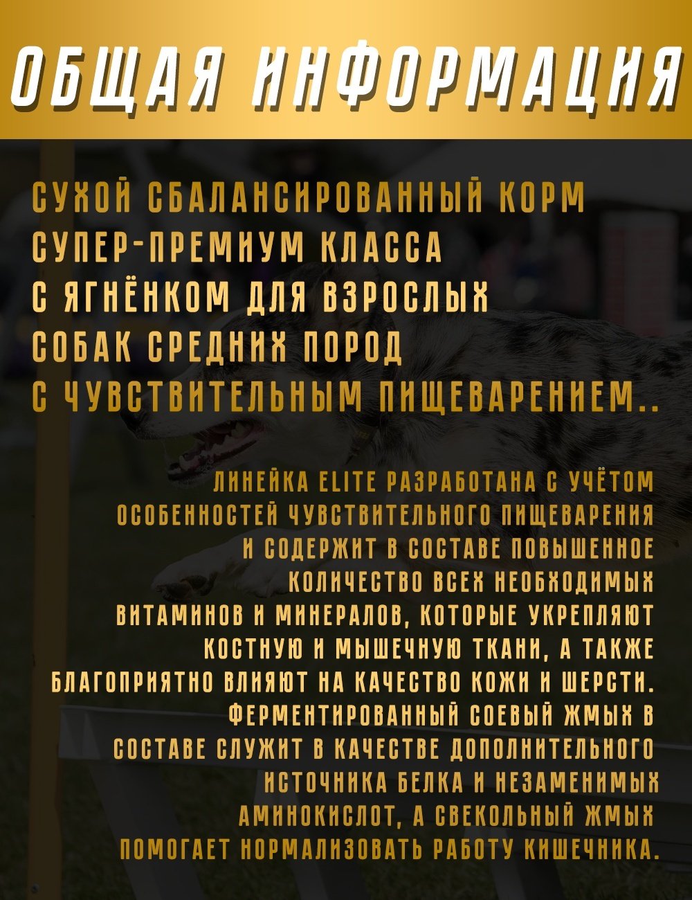 Корм ATTILA ELITE Medium Adult Lamb Ягненок для взрослых средних пород 14 кг