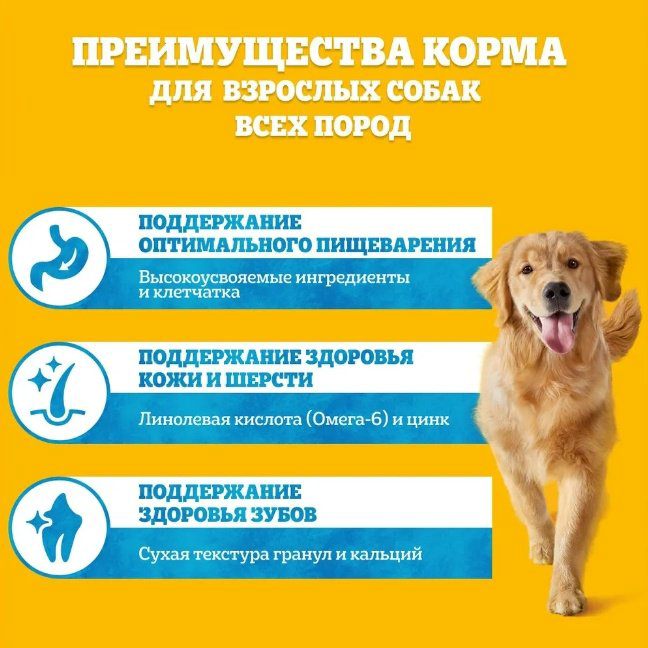 Корм Pedigree с говядиной для взрослых всех пород 13 кг купить,23000