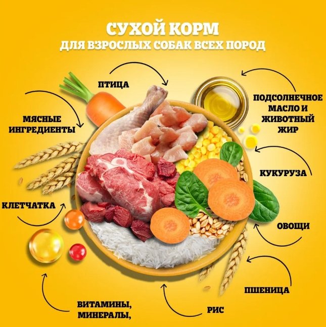 Корм Pedigree с говядиной для взрослых всех пород 13 кг купить,23000