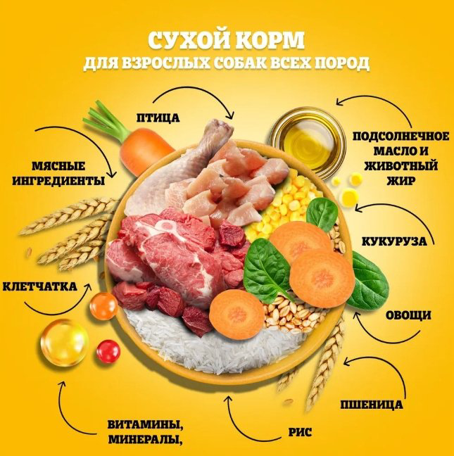 Корм Pedigree с говядиной для взрослых всех пород 13 кг купить,23000