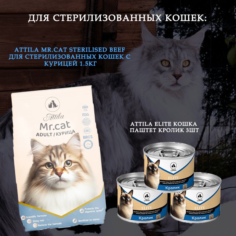 Корм ATTILA Mr.cat для взрослых курица 1.5 кг + паштет кролик 3 шт