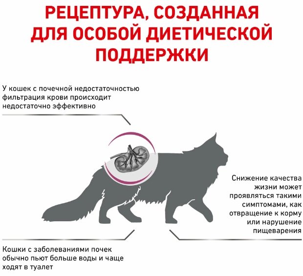 Корм Royal Canin Renal Special при проблемах с почками свинина 2 кг