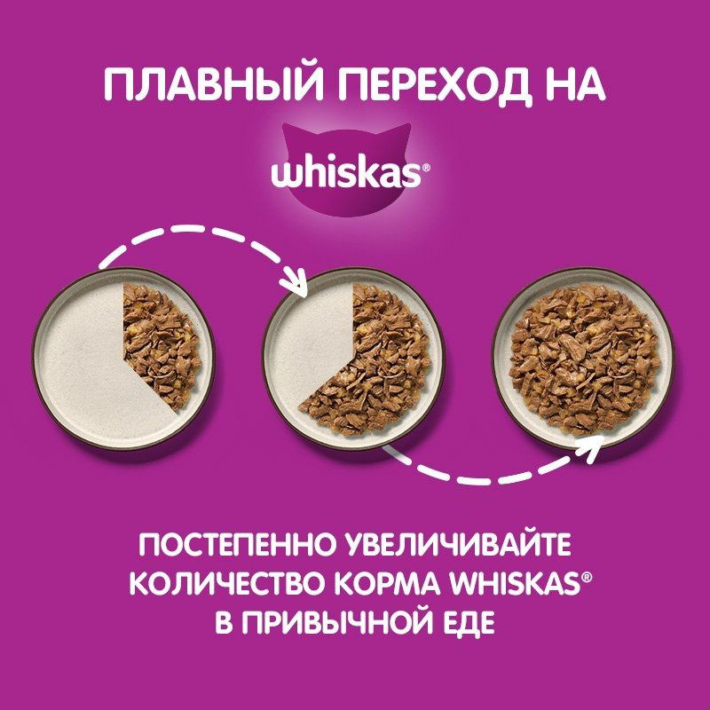 Корм Whiskas рагу лосось 85 г 1 шт купить,240