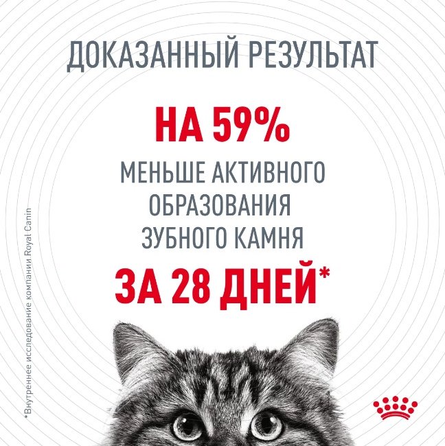 Корм Royal Canin Oral Care профилактика зубного камня птица 1 кг