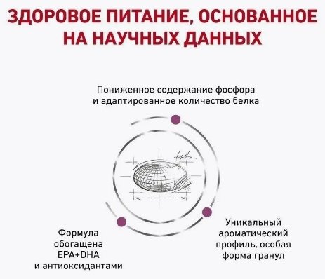 Корм Royal Canin Renal Special при проблемах с почками свинина 2 кг