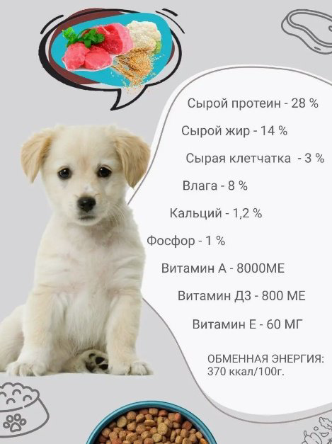 Корм Дилли для щенков крупных пород 14 кг - ForteMarket Корм Дилли для щенков крупных пород 14 кг купить,13940