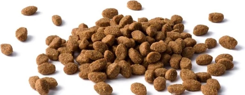 Корм Lider TRENDLINE для взрослых лосось 1 кг