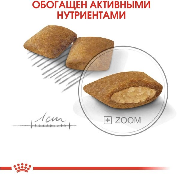 Корм Royal Canin Exigent Mini для привередливых взрослых мелких пород 3 кг