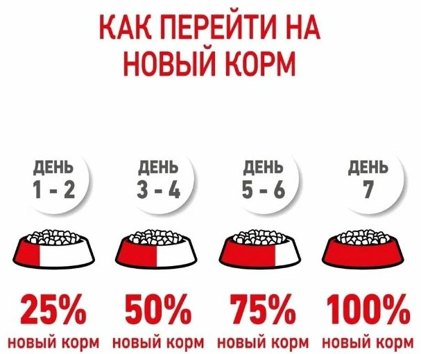 Корм Monge Mini Adult Лосось с рисом для взрослых мелких пород 2.5 кг купить,NaN
