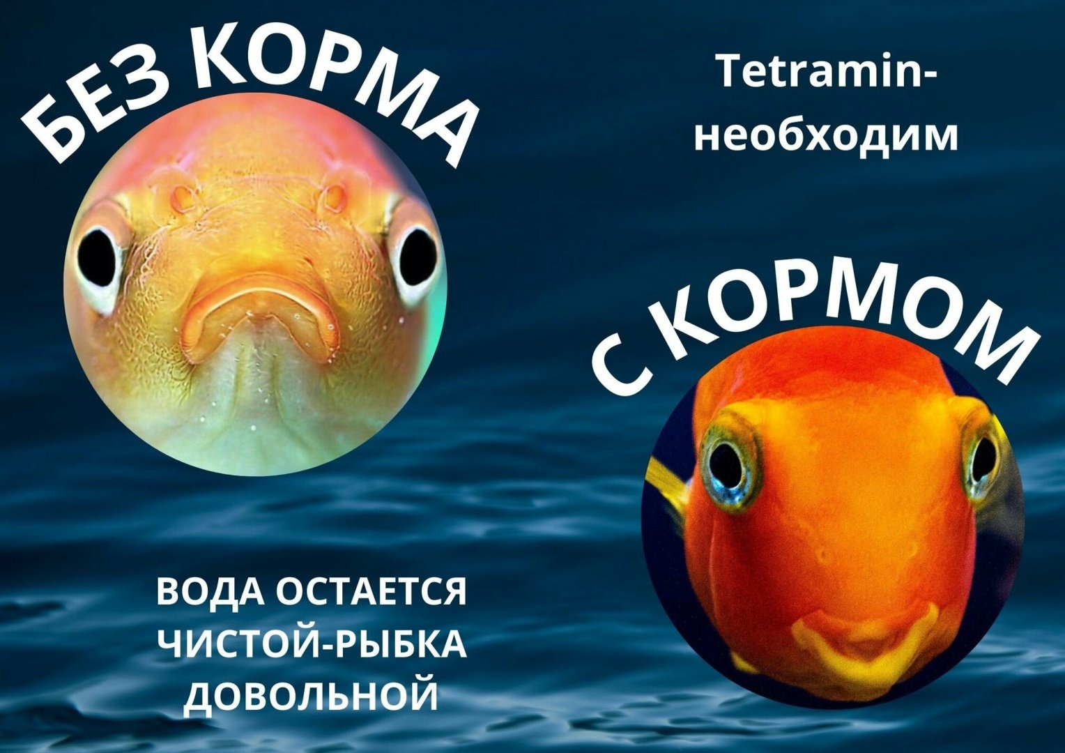 Корм Tetra Min Универсальный 200 г