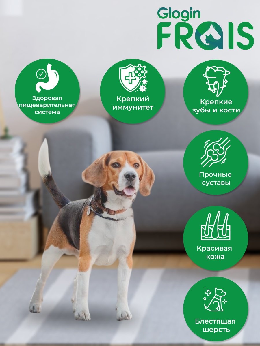 Корм GLOGIN FRAIS Classique с говядиной и овощами для взрослых всех пород 3 кг