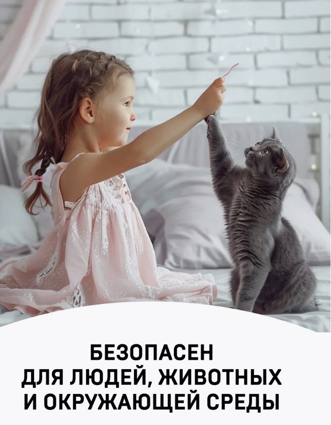 Wellroom спрей WRP_BCS200 0.2 л купить,function inputValueFn(){if((0,signal2.mK)(node),node.value===REQUIRED_UNSET_VALUE)throw new root_effect_scheduler.buA(-950,null);return node.value}