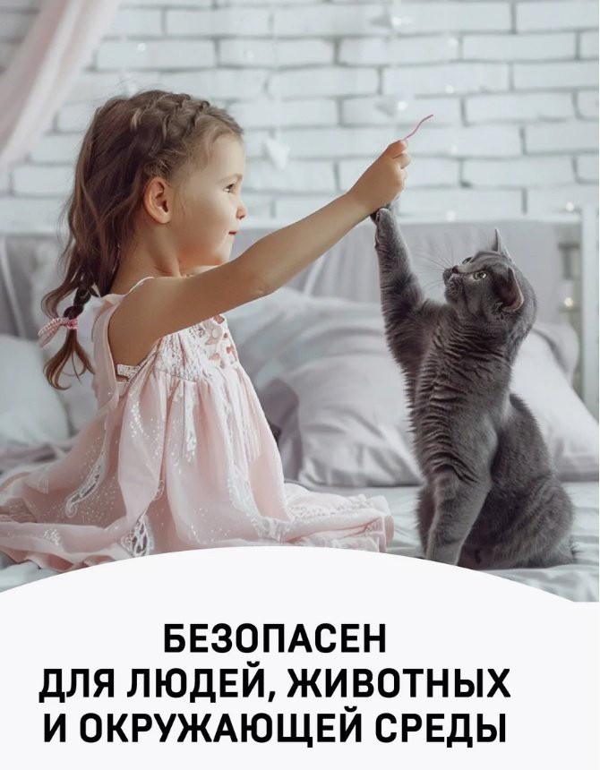 Wellroom спрей WRP_BCS200 0.2 л купить,NaN