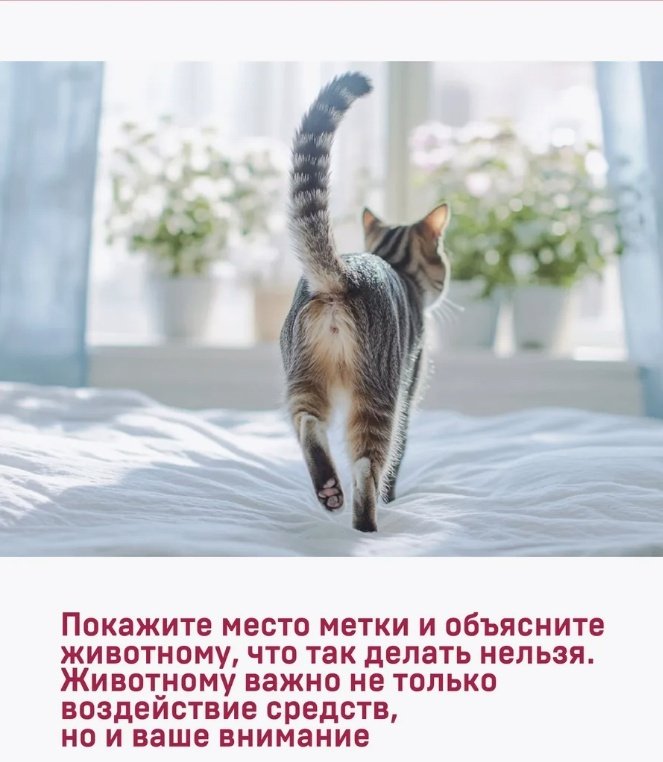 Спрей Wellroom WRP_OCKC500 500 0.5 купить,NaN
