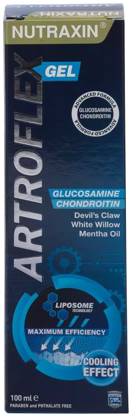 Artroflex мазь 100 мл