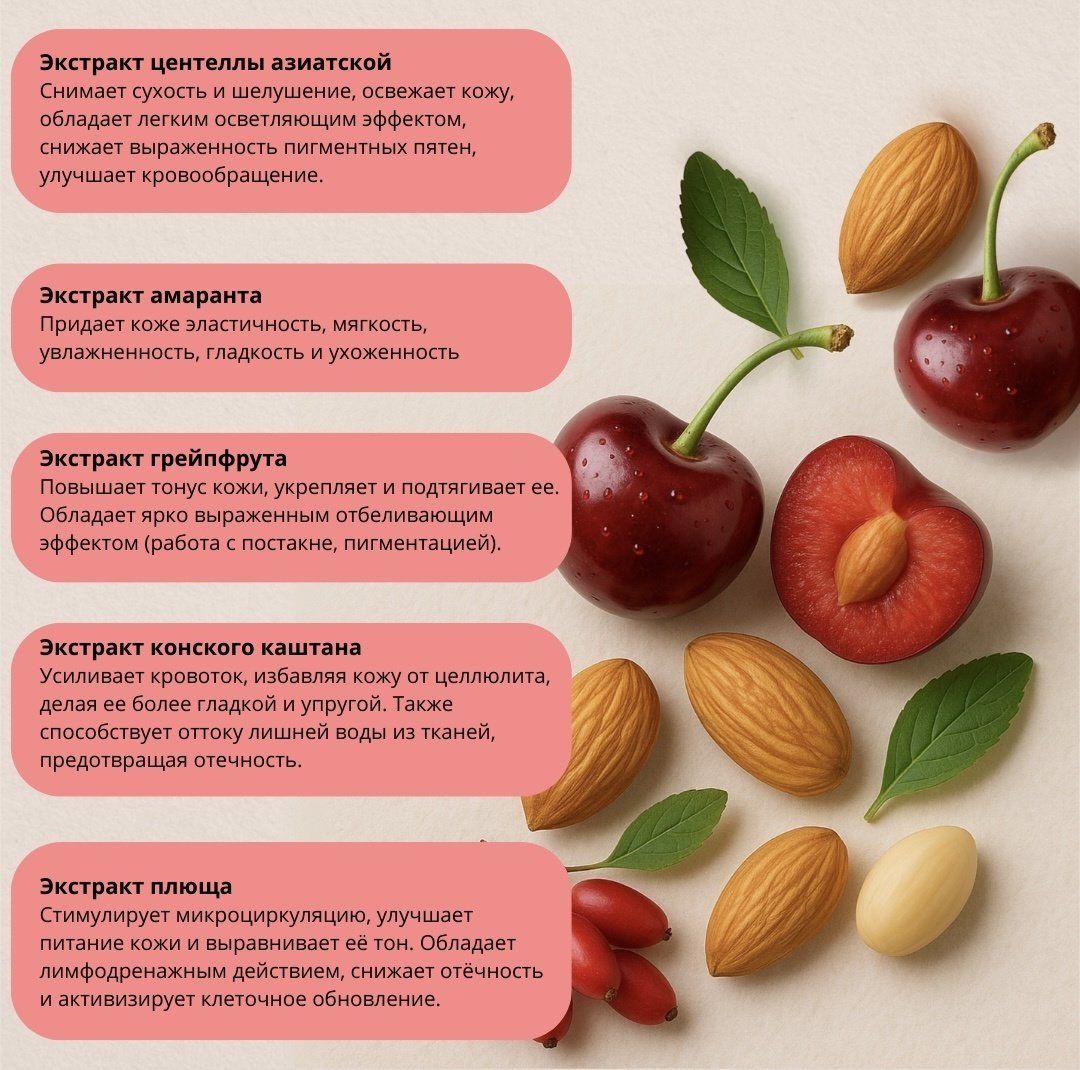 Cosmavera скраб Meditation. no.1 вишня, миндаль для тела 250 мл - ForteMarket Cosmavera скраб Meditation. no.1 вишня, миндаль для тела 250 мл купить,function inputValueFn(){if((0,signal2.mK)(node),node.value===REQUIRED_UNSET_VALUE)throw new root_effect_scheduler.buA(-950,null);return node.value}