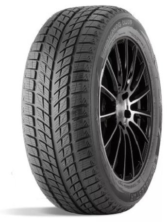 Double Star DW09 235/50 R19 99 H без шипов купить,NaN