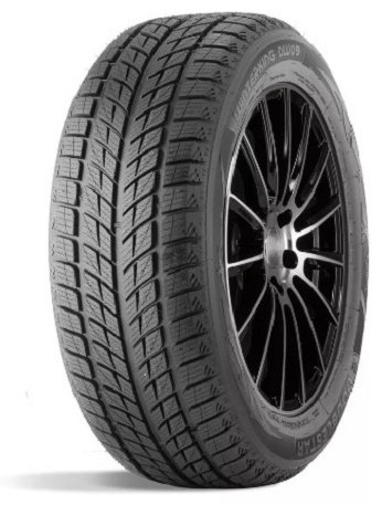 Double Star DW09 235/50 R19 99 H без шипов купить,NaN