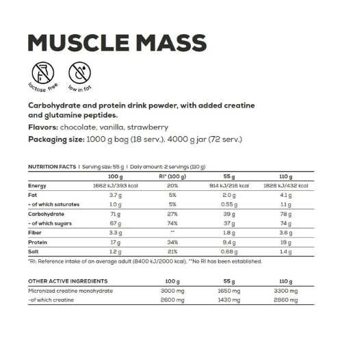 Гейнер BioTech USA Muscle Mass Шоколад 1000гр