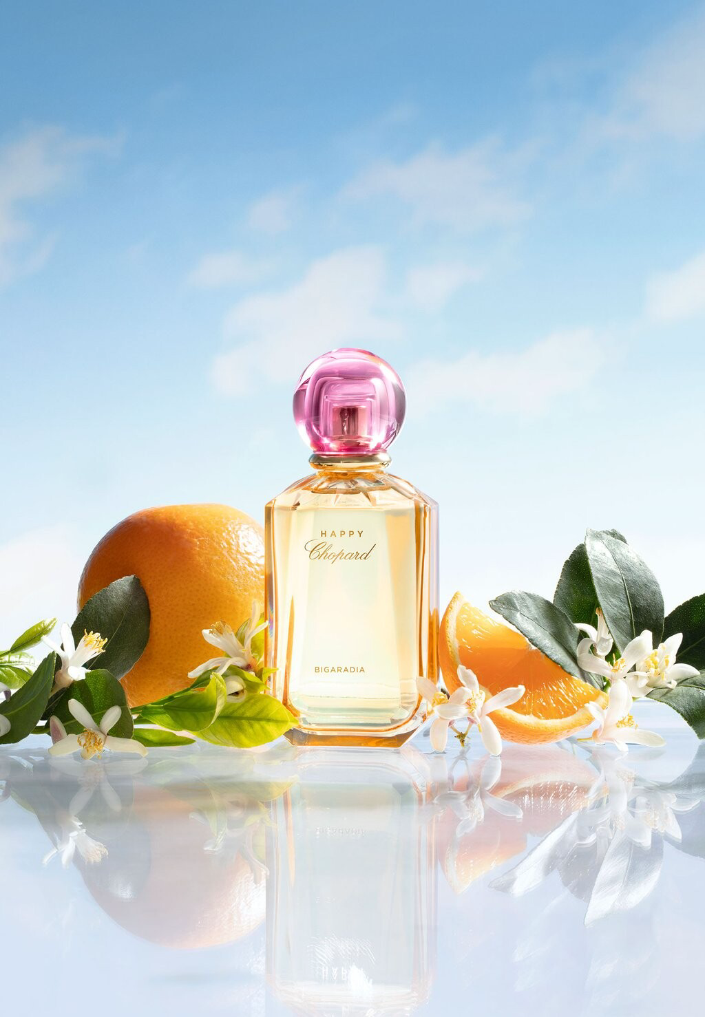 Парфюмерная вода Т Chopard Happy Bigaradia 100ml купить,NaN