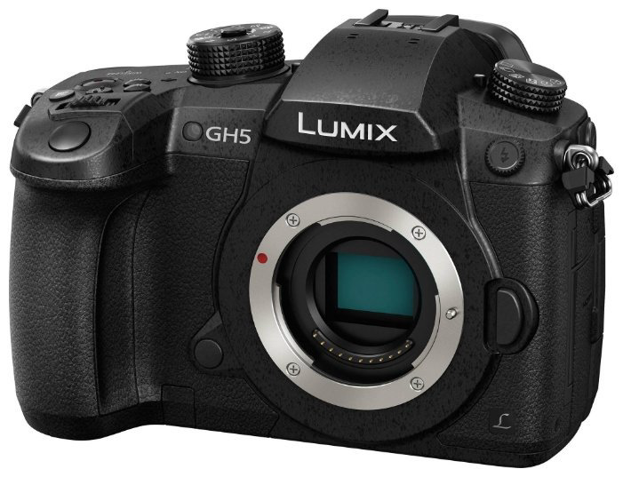 Фотоаппарат Panasonic Lumix DC-GH5 Body черный купить,NaN