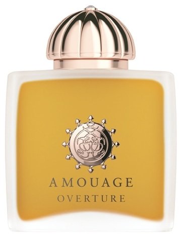 Amouage Overture парфюмерная вода EDP 100 мл, для женщин купить,NaN