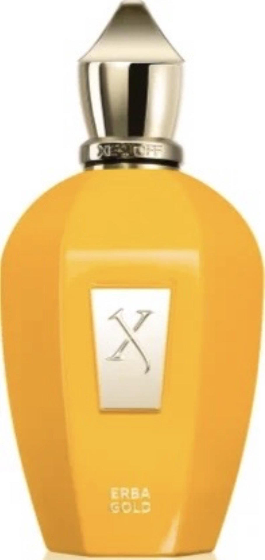 Xerjoff Erba Gold парфюмерная вода EDP 100 мл, унисекс - ForteMarket Xerjoff Erba Gold парфюмерная вода EDP 100 мл, унисекс купить,231630