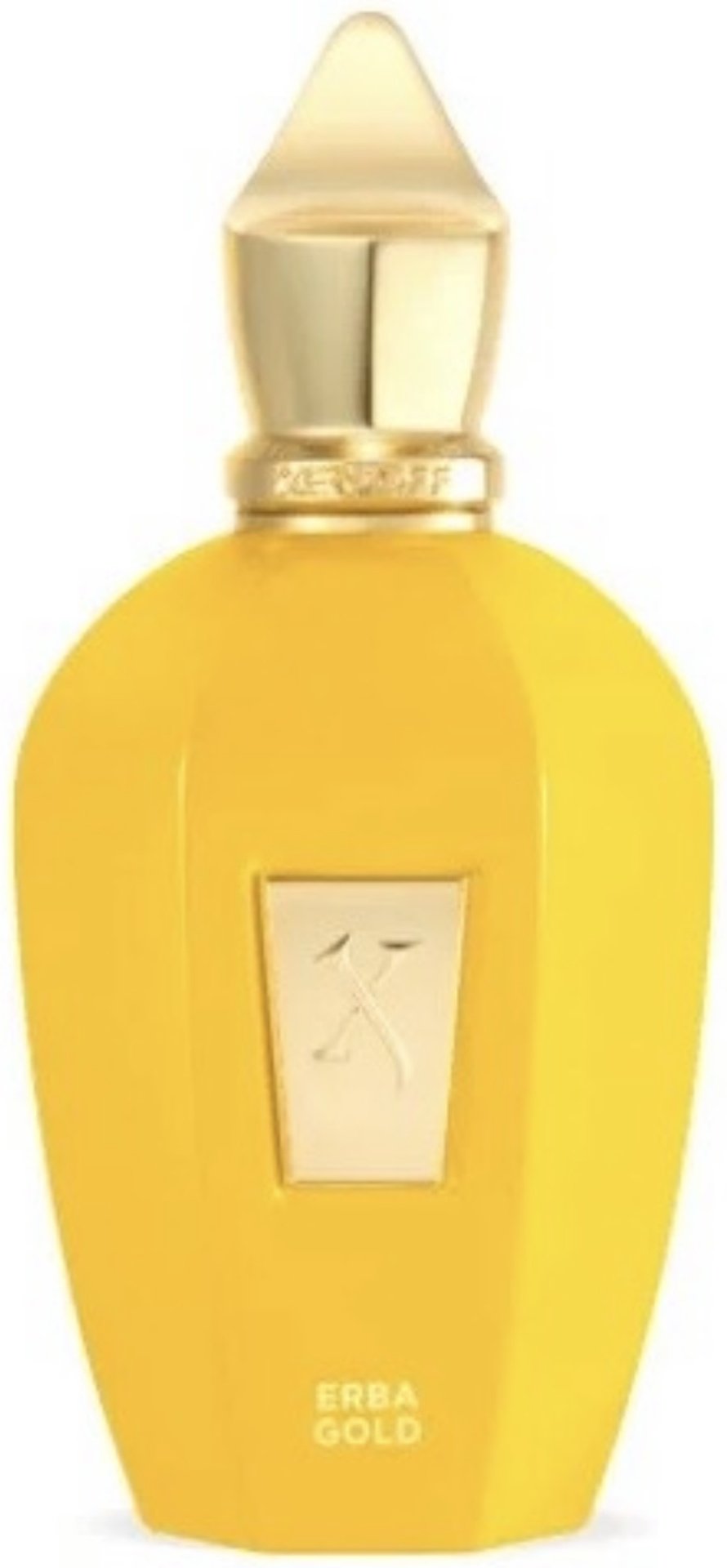 Xerjoff Erba Gold парфюмерная вода EDP 100 мл, унисекс - ForteMarket Xerjoff Erba Gold парфюмерная вода EDP 100 мл, унисекс купить,231630