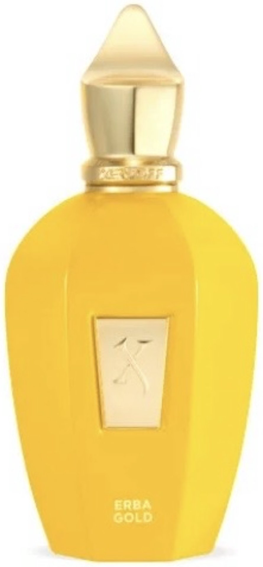 Xerjoff Erba Gold парфюмерная вода EDP 100 мл, унисекс - ForteMarket Xerjoff Erba Gold парфюмерная вода EDP 100 мл, унисекс купить,231630
